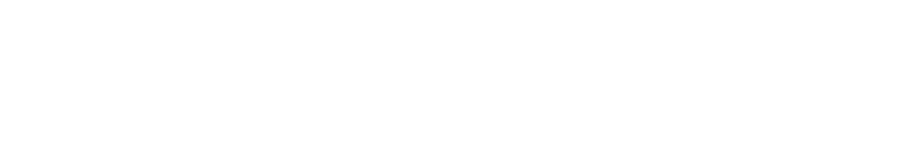 NAEC footer logo
